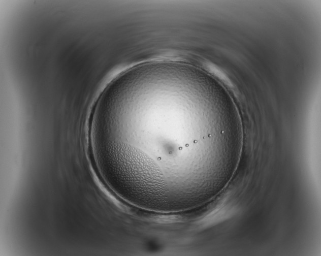X0000086241479200704051208