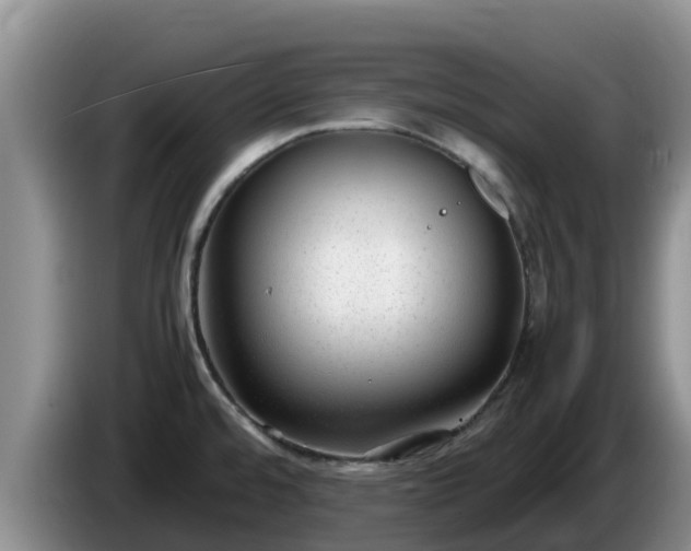 X0000086241480200704051208