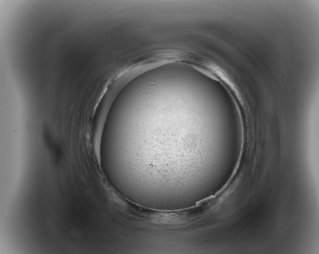 X0000086241481200704051208