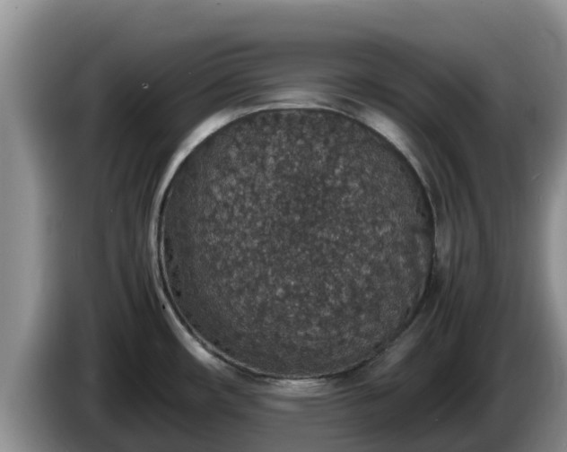 X0000086241482200704051208