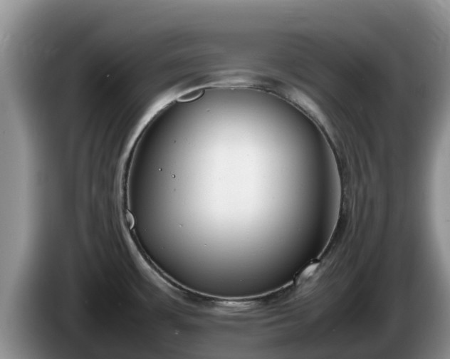X0000086241483200704051208