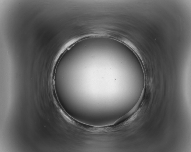 X0000086241485200704051208