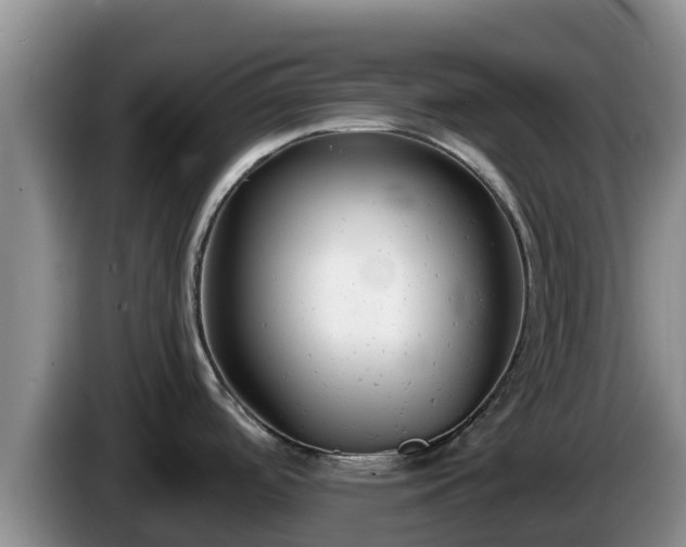 X0000086241488200704051208