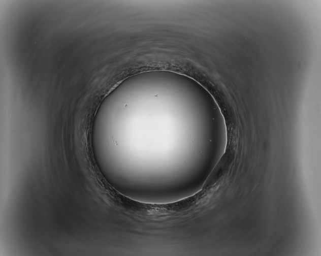 X0000086241489200704051207