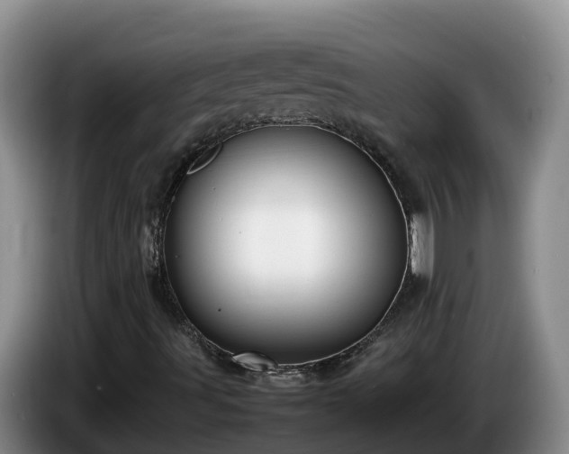 X0000086241491200704051207