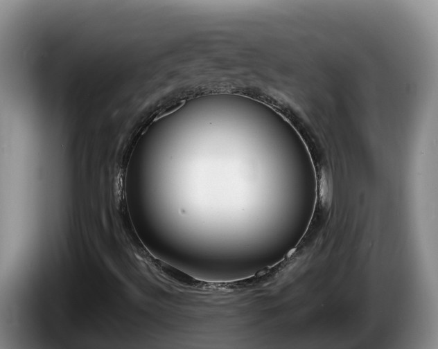X0000086241492200704051207