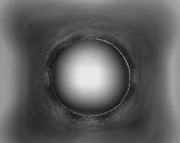 X0000086241493200704051207