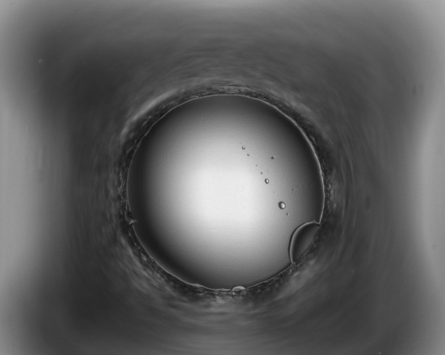 X0000086241494200704051207