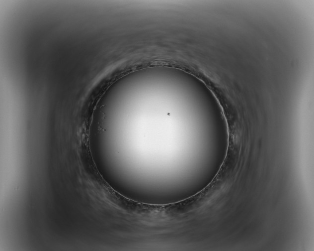 X0000086241495200704051207