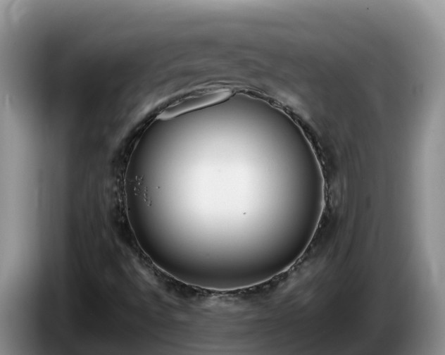 X0000086241496200704051207