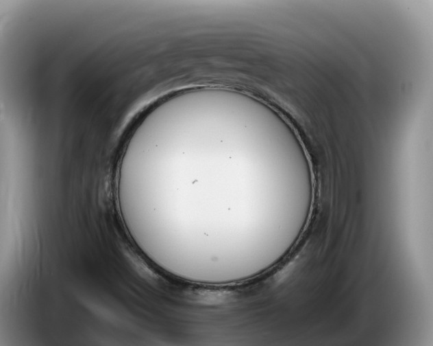 X0000086241498200704051207