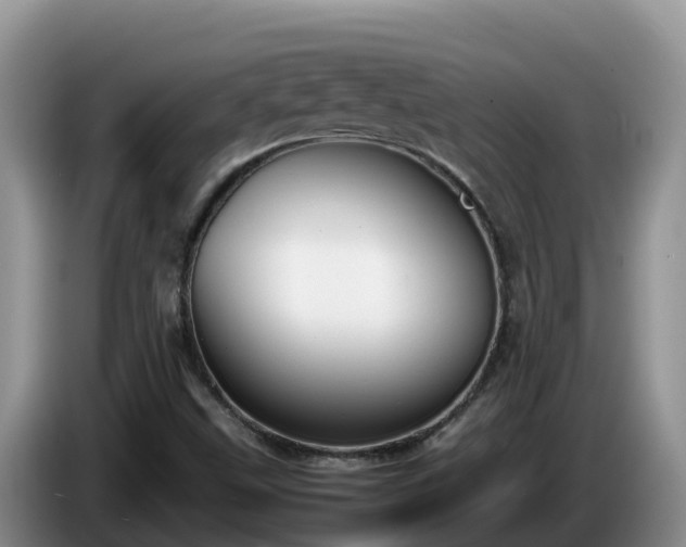 X0000086241499200704051207