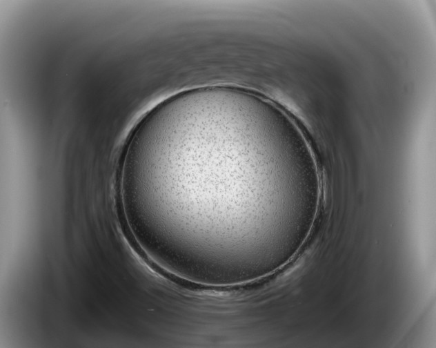 X0000086241500200704051207