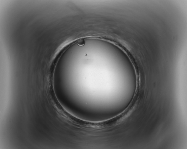 X0000086241501200704051207
