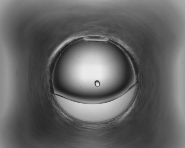 X0000086241502200704051207