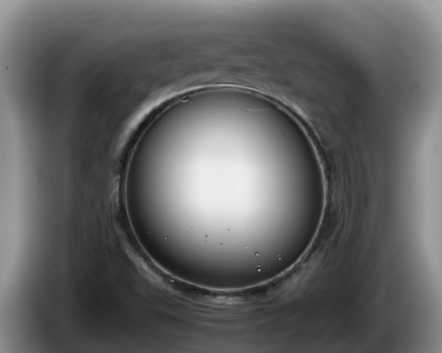 X0000086241503200704051207