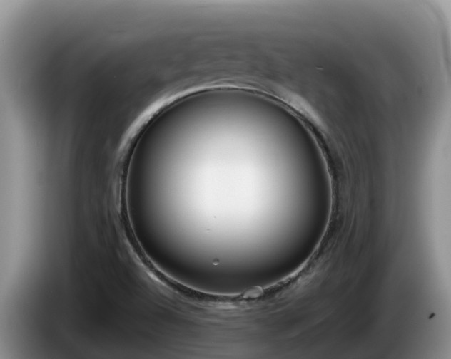 X0000086241504200704051207