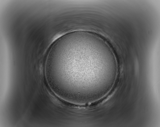 X0000086241505200704051207