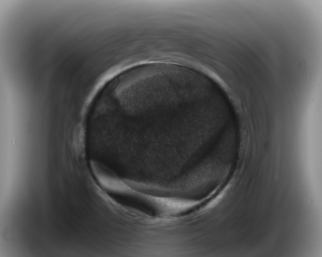 X0000086241506200704051207