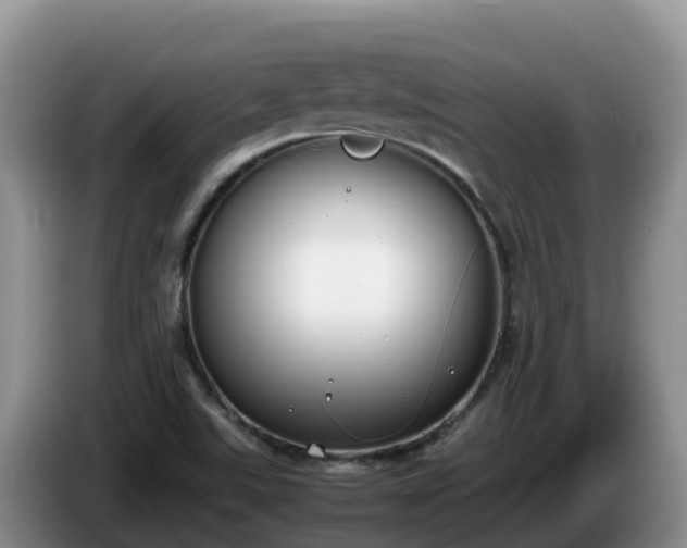 X0000086241507200704051207