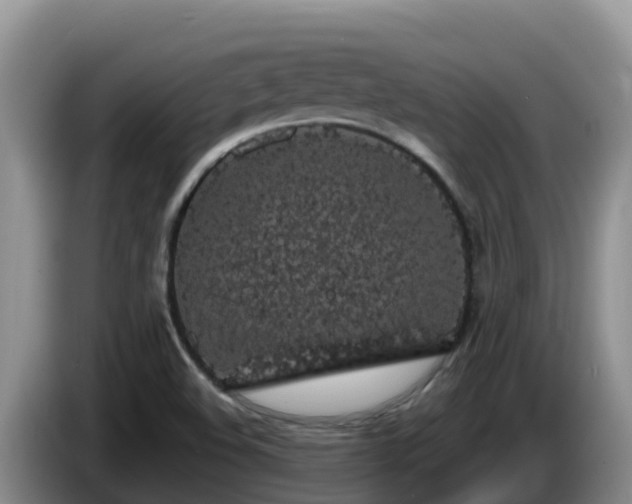 X0000086241508200704051207