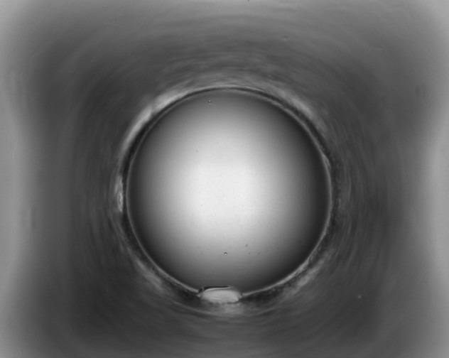 X0000086241509200704051207