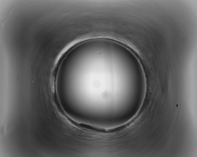 X0000086241510200704051207