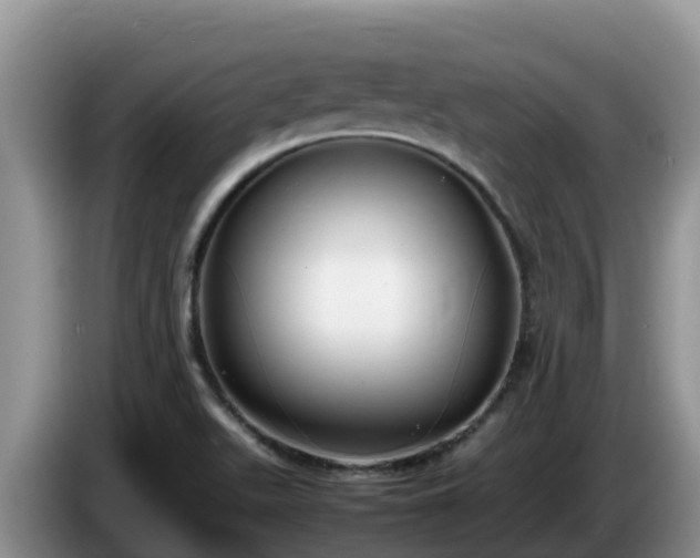 X0000086241511200704051207