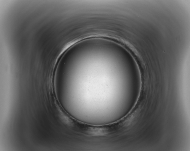 X0000086241513200704051207