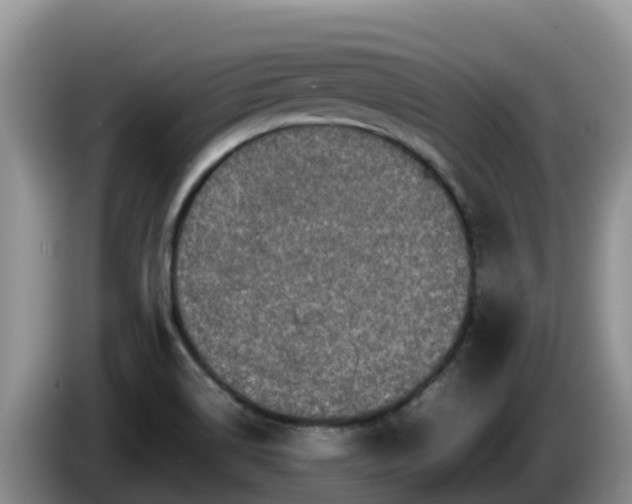 X0000086241514200704051207