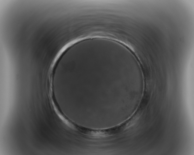 X0000086241515200704051207