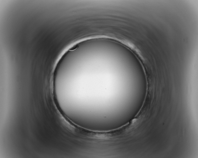 X0000086241516200704051207