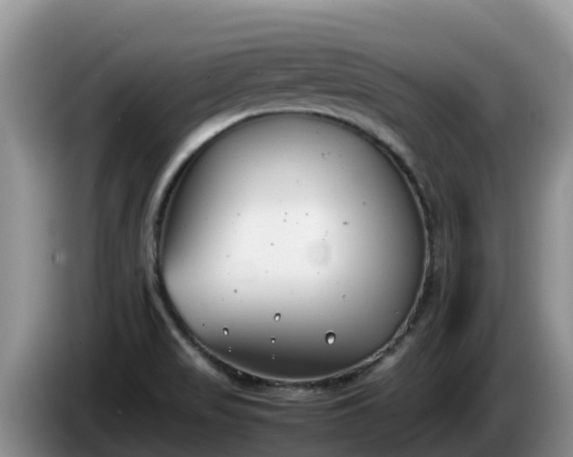 X0000086241517200704051207