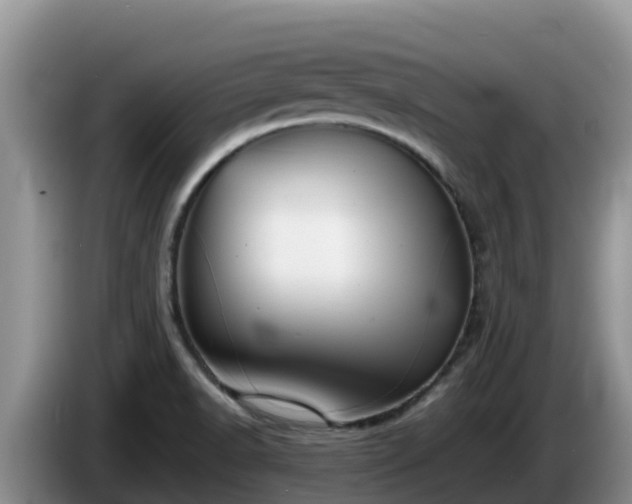 X0000086241518200704051207