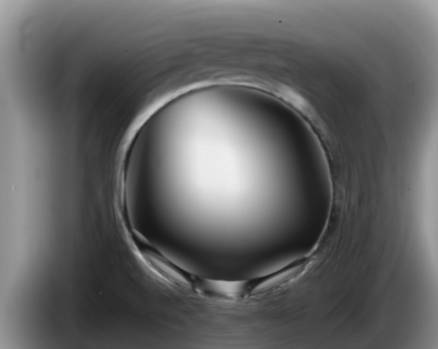 X0000086241520200704051208