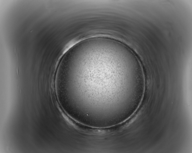 X0000086241521200704051208