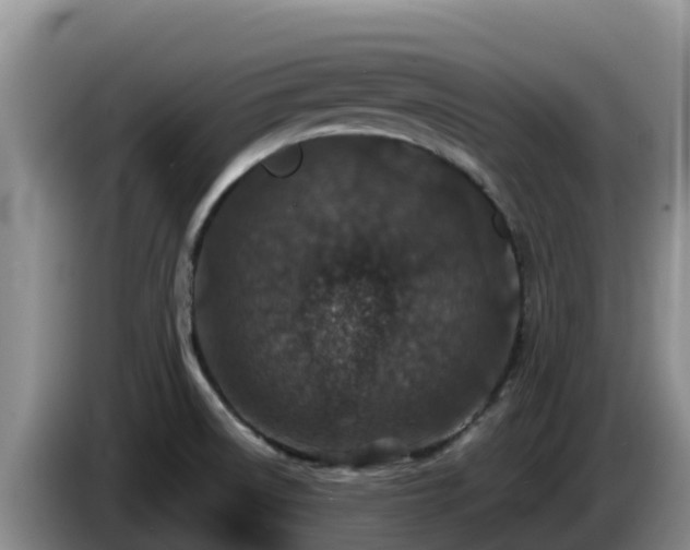 X0000086241522200704051208