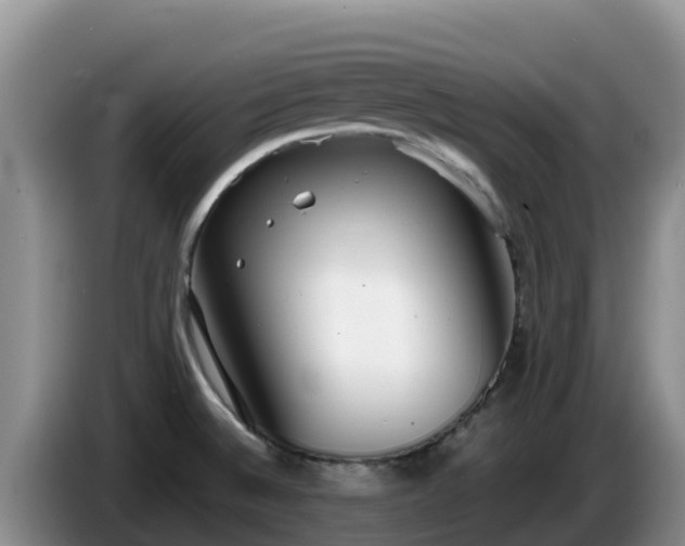 X0000086241524200704051208