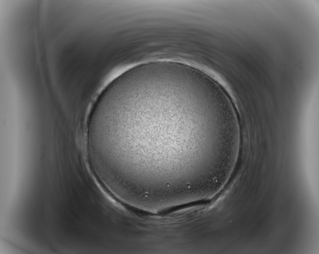 X0000086241525200704051208