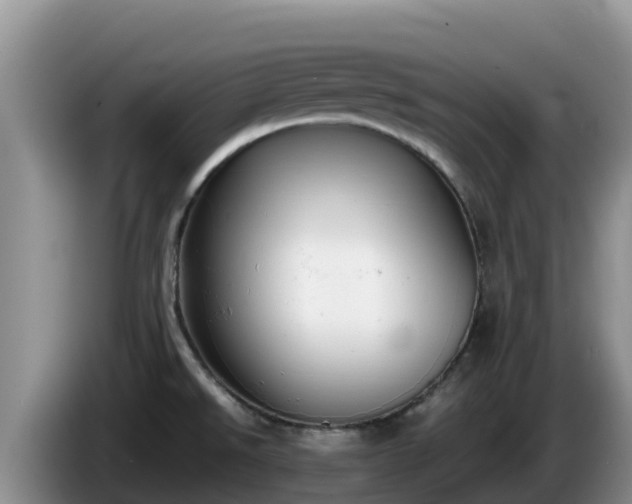 X0000086241526200704051208