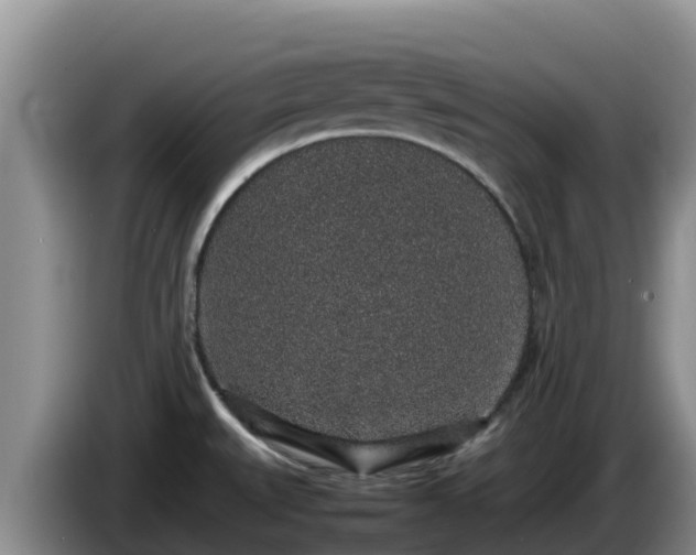 X0000086241527200704051208