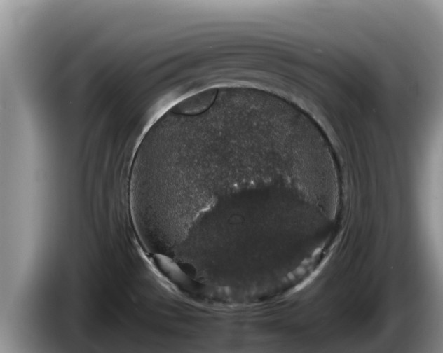 X0000086241529200704051208