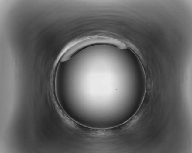 X0000086241530200704051208