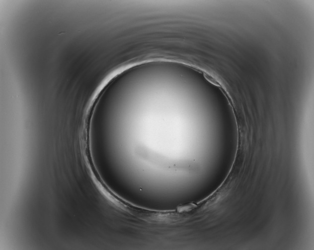 X0000086241531200704051208