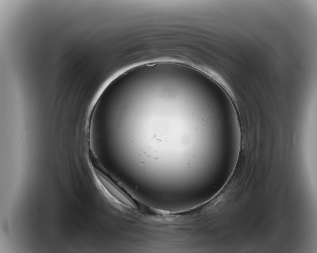 X0000086241532200704051208