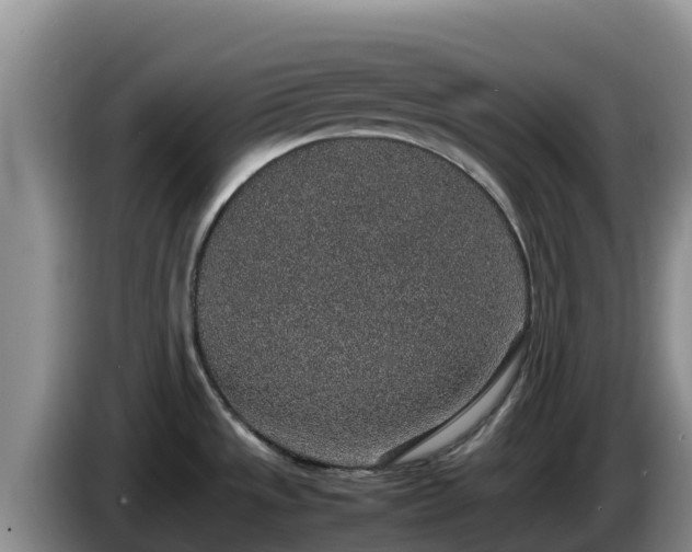 X0000086241533200704051208