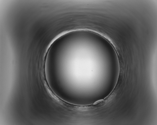 X0000086241534200704051208