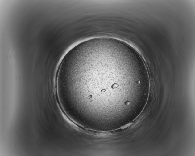 X0000086241535200704051208