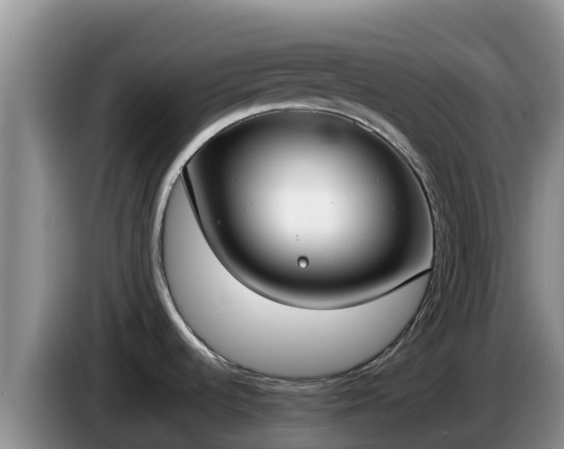 X0000086241536200704051208