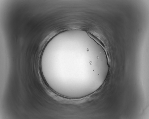 X0000086240001200704121942